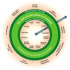 Amsterdam Doughnut Economy