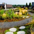 Green roof top in Amsterdam, research Resilio, HvA